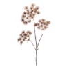 Heracleum branch 3-taks 102 cm, bruin