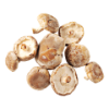 Shiitake paddenstoel