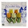 Gedecoreerde melkchocolade hollandse tulpen