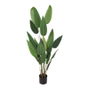 Plant in pot 175 cm