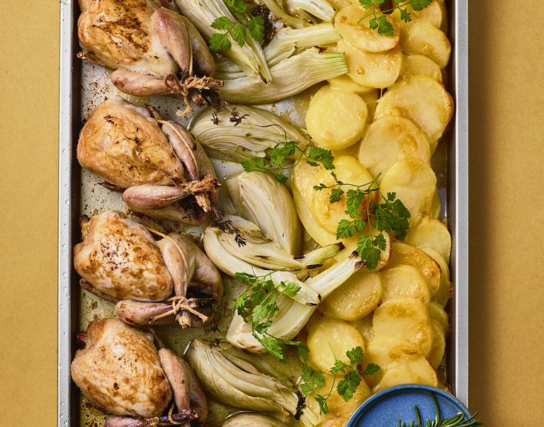 In deze tray bake worden met tijm en rozemarijn gekruide wartels begeleid door een stevige aardappel-kaasgratin op basis van kaasfondue. Venkel zorgt voor balans.