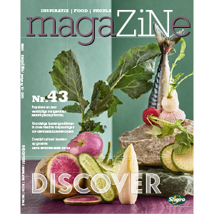 magaZiNe - Discover